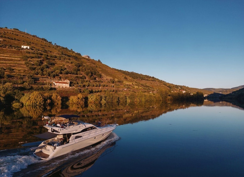 Porto: Cruise on the Douro River - Discovering Régua