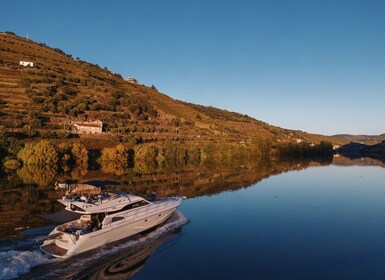 Porto: Kreuzfahrt auf dem Douro-Fluss - Régua entdecken