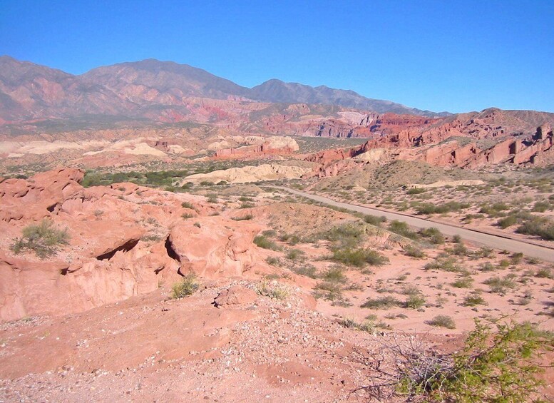 Picture 6 for Activity From Salta: Cafayate and Hornocal 2-Day Tour with Transfer