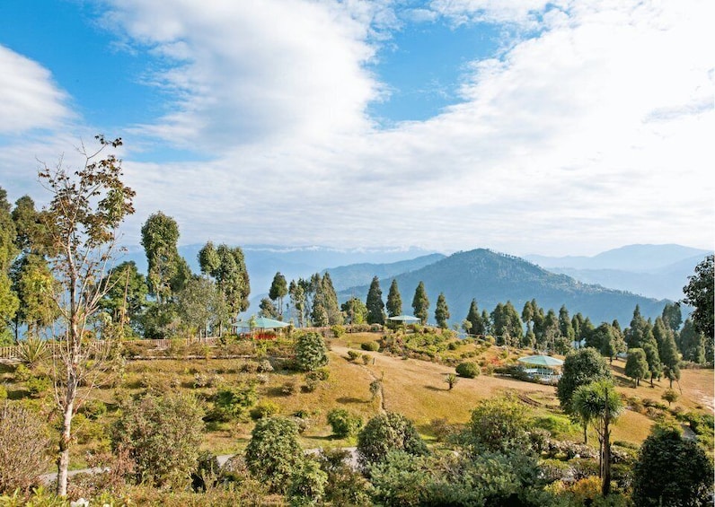 Day Trip to Kalimpong Guided Private Experience from Gangtok