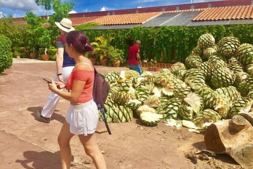 Picture 2 for Activity Oaxaca: Traditional Market Private Tour