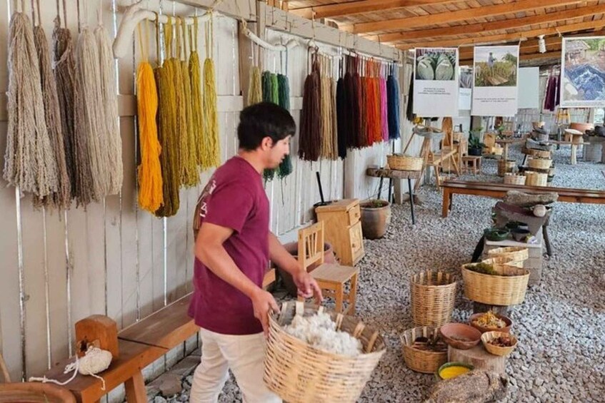 Picture 3 for Activity Oaxaca: Traditional Market Private Tour