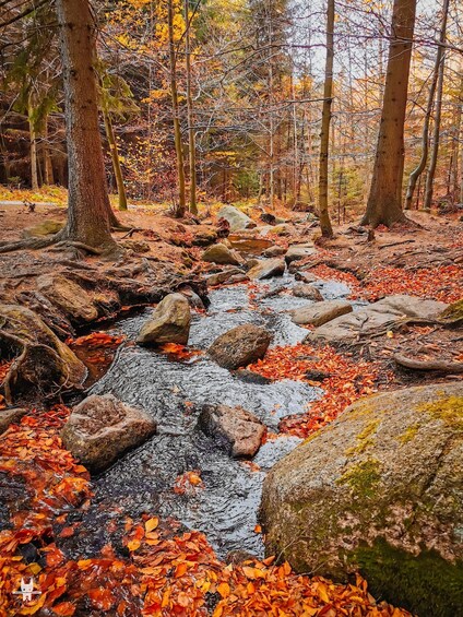 Hike in Polish Mountains: Day trip to Rudawy Janowickie