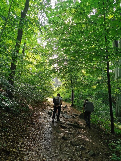 Picture 8 for Activity Hike in Polish Mountains: Day trip to Rudawy Janowickie