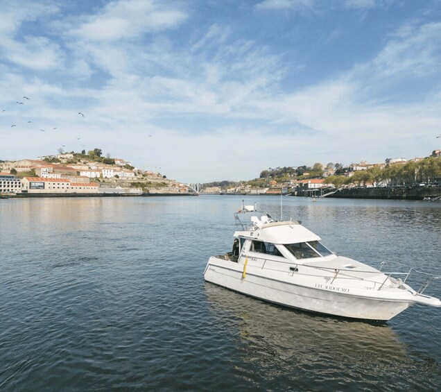 Porto: Private Douro River Sunset Cruise