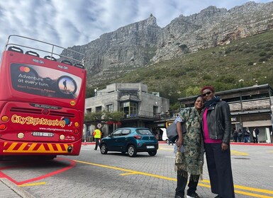 Private Cape Town City Tour and Table Mountain