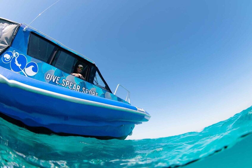 Picture 1 for Activity Scuba Diving Day Trip on the Southern Great Barrier Reef