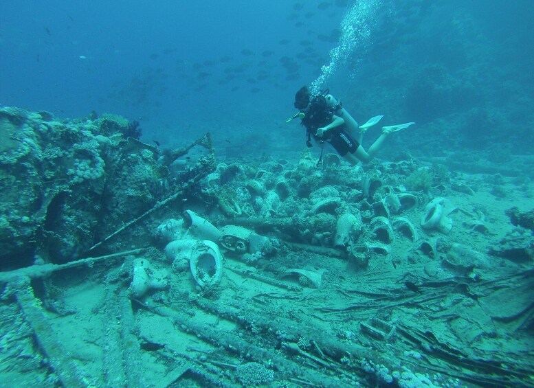 Picture 2 for Activity Tiran Island: Full-day Snorkeling, Diving Boat Trip