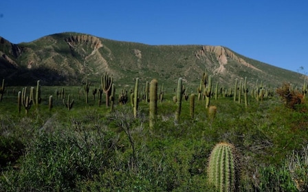 Von Salta aus: Cafayate, Humahuaca, Cachi, & Salinas Grandes