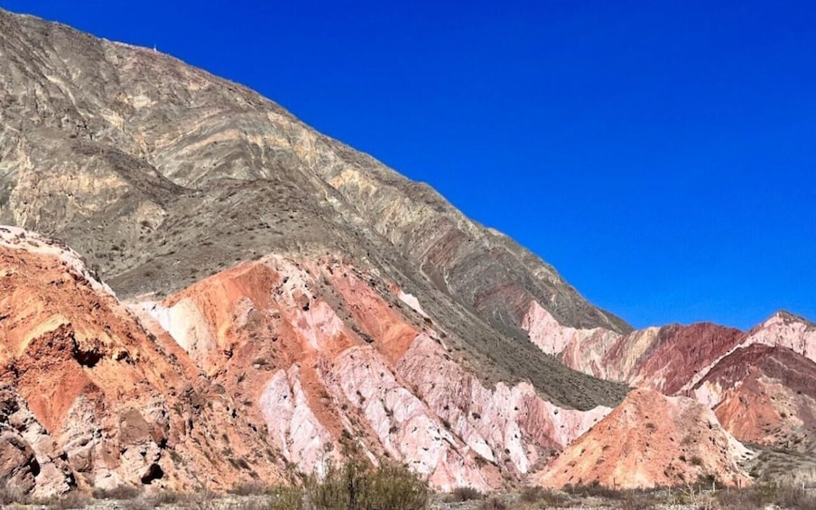 Picture 100 for Activity From Salta: Cafayate, Humahuaca, Cachi, & Salinas Grandes