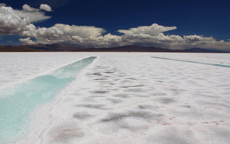 Picture 117 for Activity From Salta: Cafayate, Humahuaca, Cachi, & Salinas Grandes