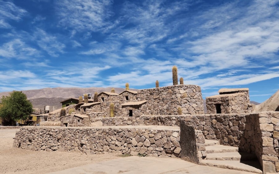 Picture 84 for Activity From Salta: Cafayate, Humahuaca, Cachi, & Salinas Grandes