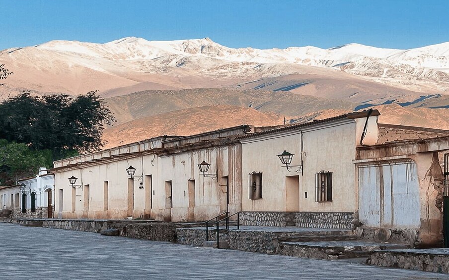 Picture 65 for Activity From Salta: Cafayate, Humahuaca, Cachi, & Salinas Grandes