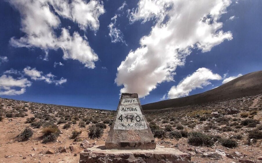 Picture 107 for Activity From Salta: Cafayate, Humahuaca, Cachi, & Salinas Grandes