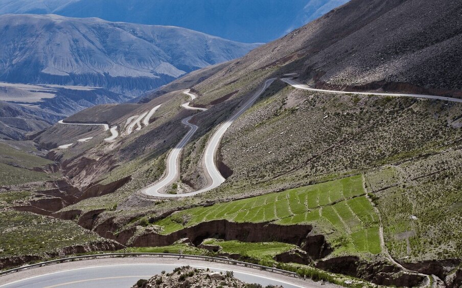 Picture 105 for Activity From Salta: Cafayate, Humahuaca, Cachi, & Salinas Grandes