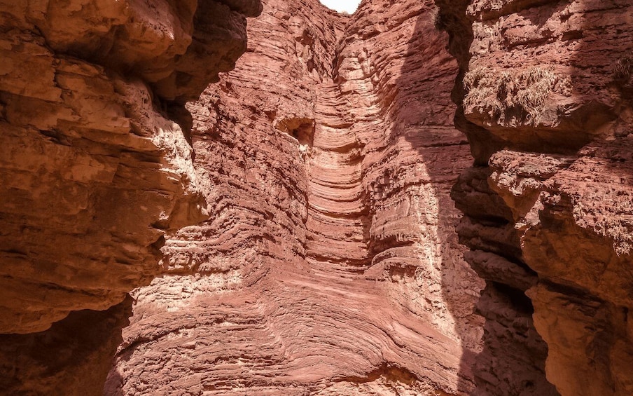 Picture 12 for Activity From Salta: Cafayate, Humahuaca, Cachi, & Salinas Grandes