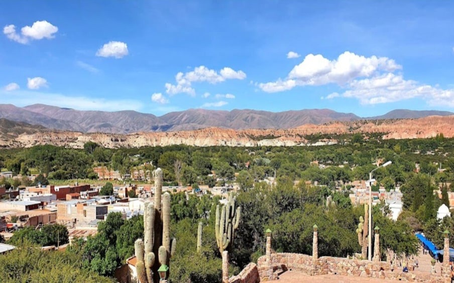 Picture 96 for Activity From Salta: Cafayate, Humahuaca, Cachi, & Salinas Grandes