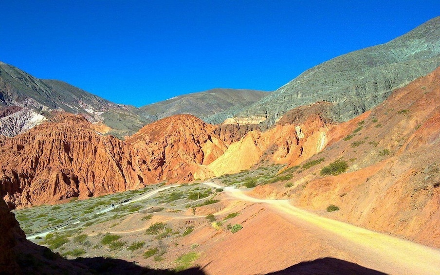 Picture 126 for Activity From Salta: Cafayate, Humahuaca, Cachi, & Salinas Grandes
