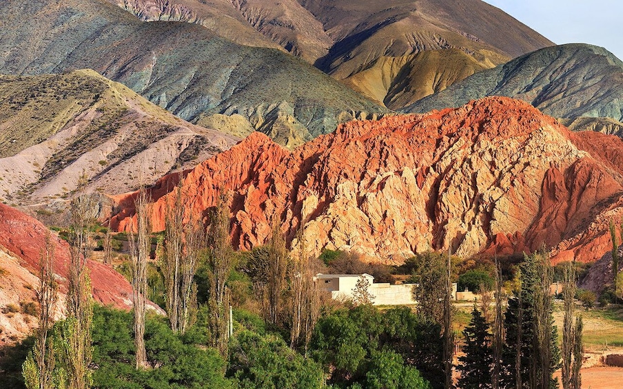 Picture 98 for Activity From Salta: Cafayate, Humahuaca, Cachi, & Salinas Grandes