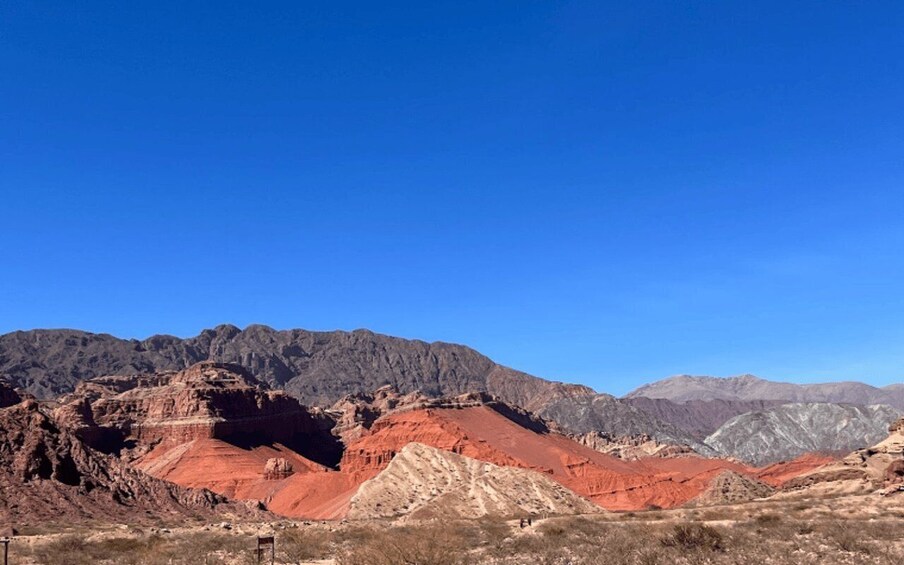 Picture 24 for Activity From Salta: Cafayate, Humahuaca, Cachi, & Salinas Grandes