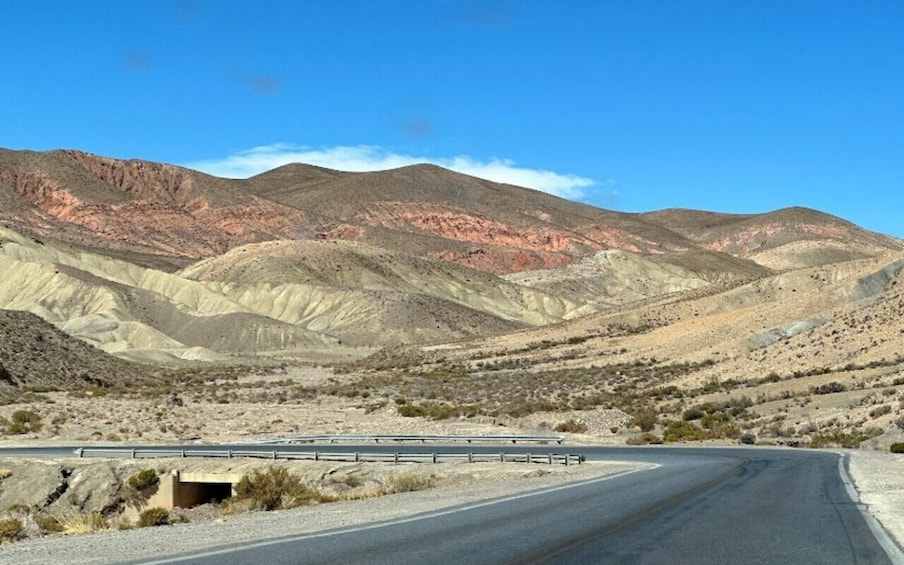 Picture 101 for Activity From Salta: Cafayate, Humahuaca, Cachi, & Salinas Grandes