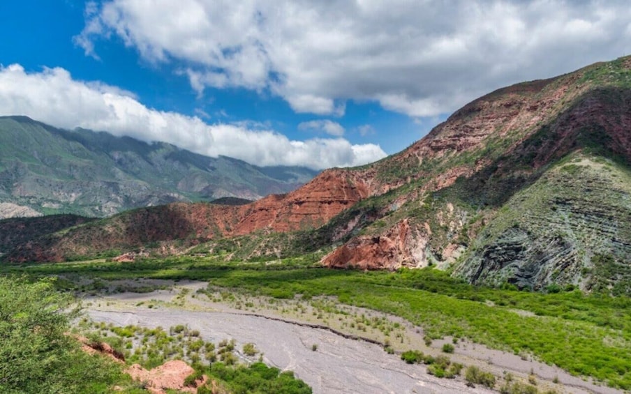 Picture 38 for Activity From Salta: Cafayate, Humahuaca, Cachi, & Salinas Grandes