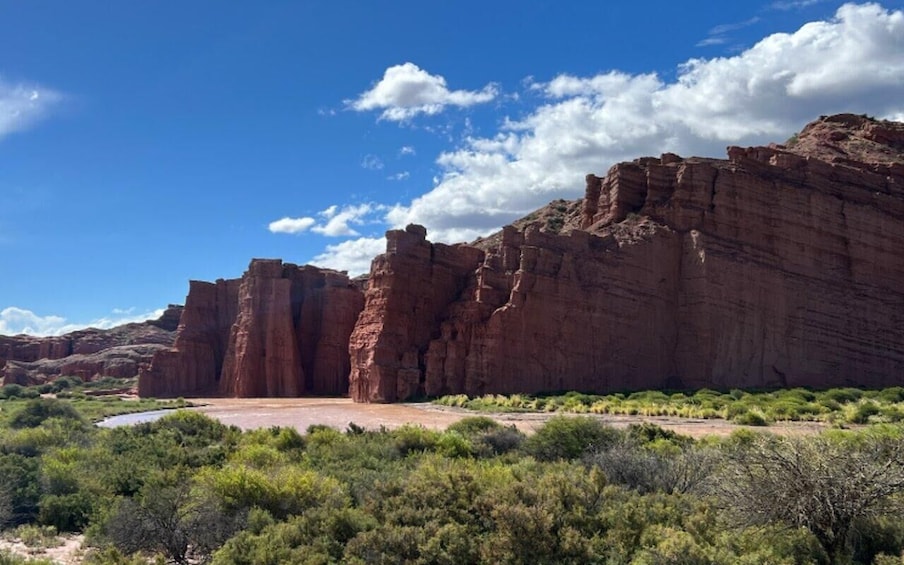 Picture 27 for Activity From Salta: Cafayate, Humahuaca, Cachi, & Salinas Grandes