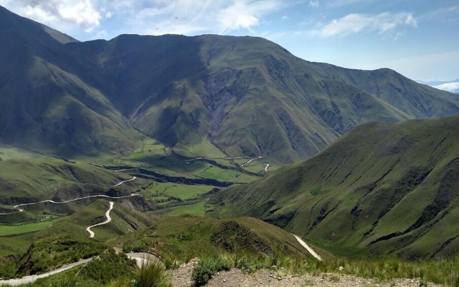 Picture 42 for Activity From Salta: Cafayate, Humahuaca, Cachi, & Salinas Grandes