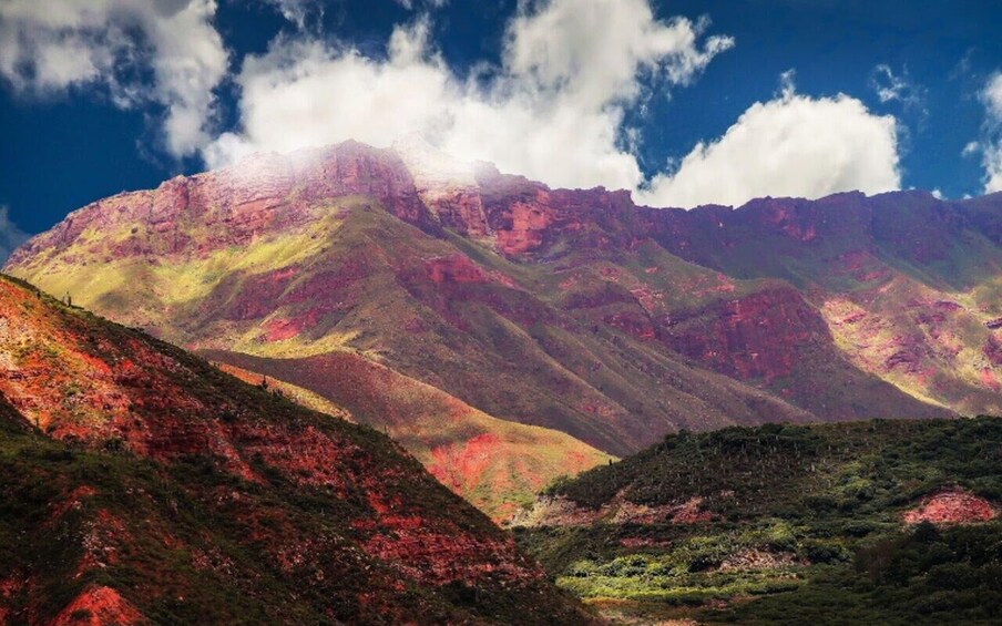 Picture 39 for Activity From Salta: Cafayate, Humahuaca, Cachi, & Salinas Grandes