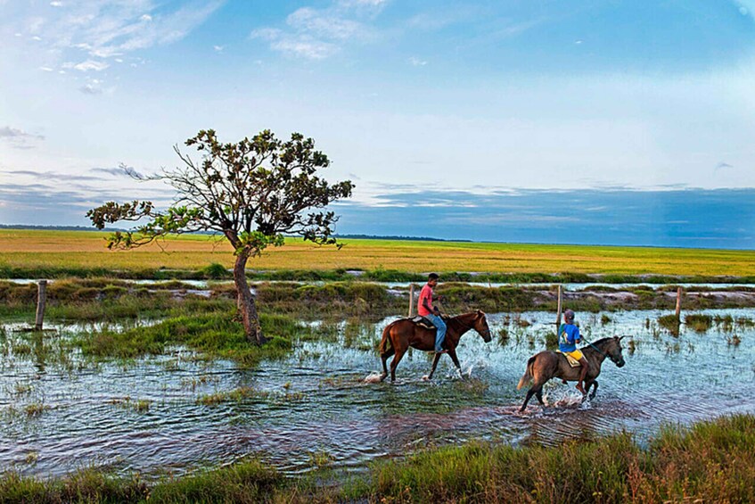 Picture 13 for Activity Belém: 2, 3 or 4-Day Marajó Island Excursion with Lodging