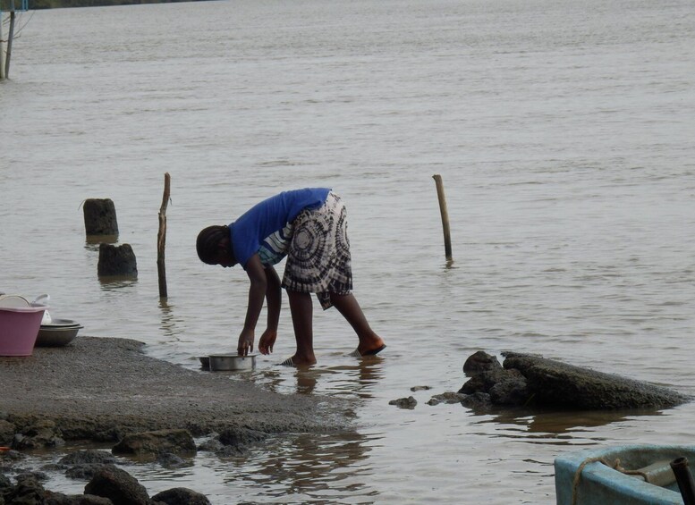 Picture 4 for Activity River Gambia, Hippos,Chimpanzees. stone circles. Georgetown