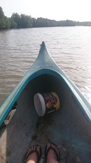 River Gambia, Hippos and Chimpanzees