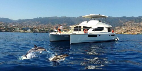 Tour di lusso all inclusive per l'avvistamento di balene e delfini