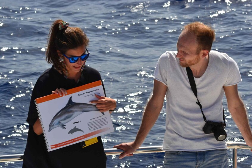 Picture 3 for Activity All Inclusive Whale and Dolphin Watching Luxury Tour