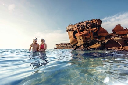 Brisbane: Tangalooma Snorkel the Wrecks Day Cruise Transfers