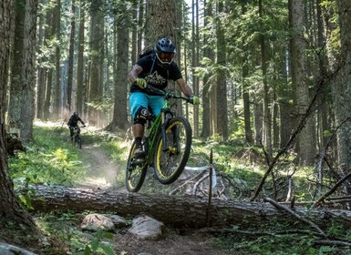 Bansko: Pirin Mountains Enduro Mountain Bike Day Trip