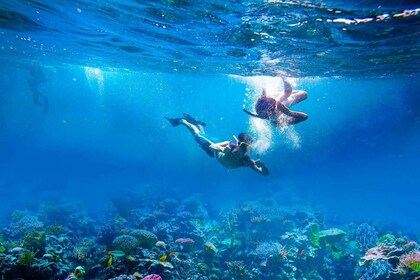 Amed: excursión de un día a Tirta Gangga, la bahía de Jemeluk y Virgin Beac...