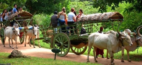 Dambulla: Caves Temple & Traditional Village Tour with Lunch