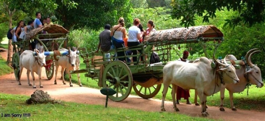 Dambulla: Caves Temple & Traditional Village Tour with Lunch