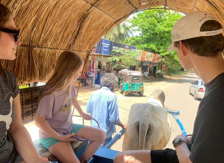 Picture 8 for Activity Dambulla: Caves Temple & Traditional Village Tour with Lunch