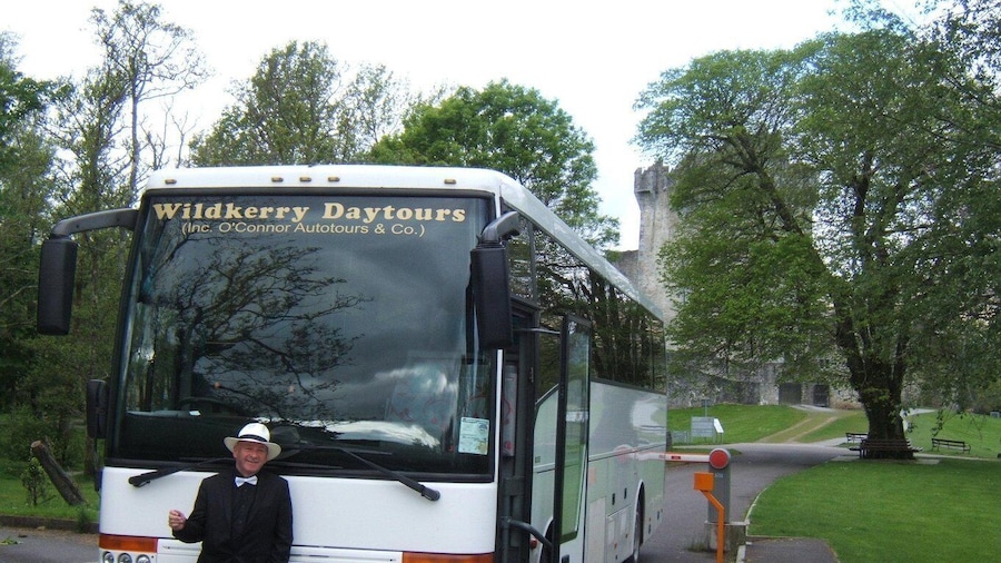 From Killarney: 'Ring of Kerry' Mountain Road 1-Day Bus Tour