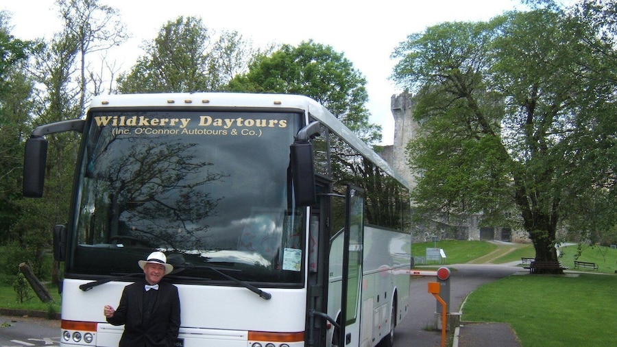 From Killarney: 'Ring of Kerry' Mountain Road 1-Day Bus Tour