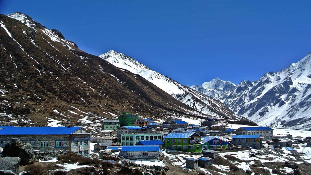 Picture 2 for Activity 4 Days Shortest Langtang Valley Trek from Pokhara