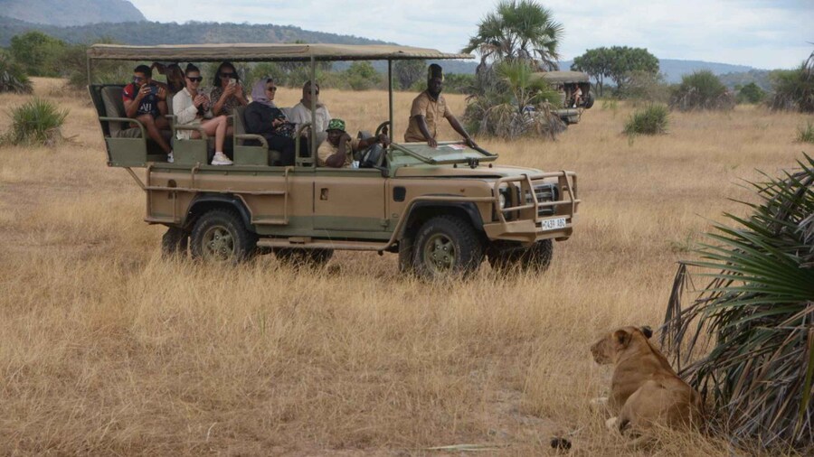 Day Trip Zanzibar To Nyerere National Park/Selous By Flight