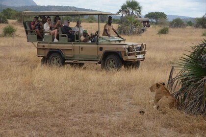 Day Trip Zanzibar To Nyerere National Park/Selous By Flight