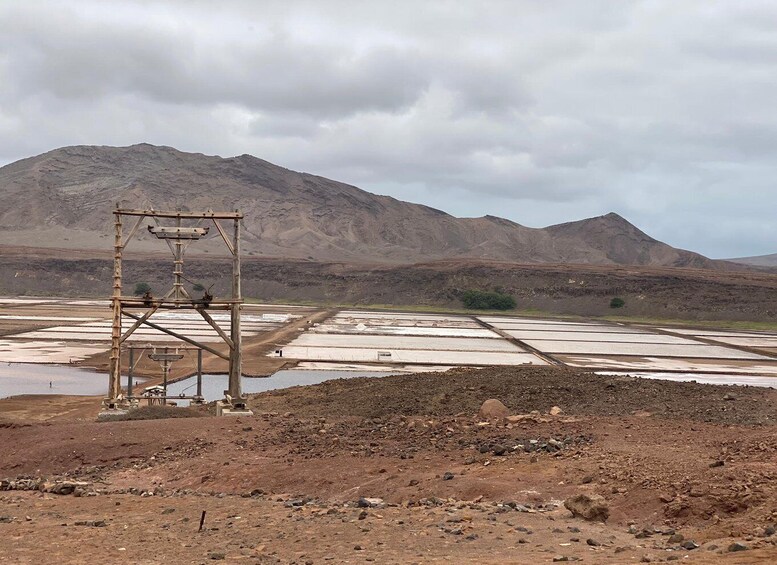 Picture 10 for Activity Sal: Pedra de Lume Salt Pans and Lake Trip