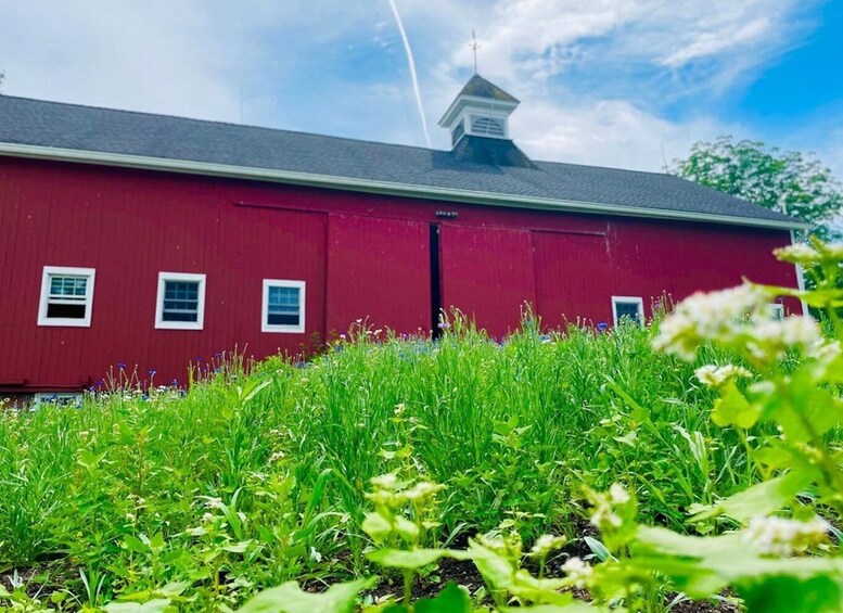 Picture 2 for Activity Beacon: Food & Farm Tour in the Hudson Valley