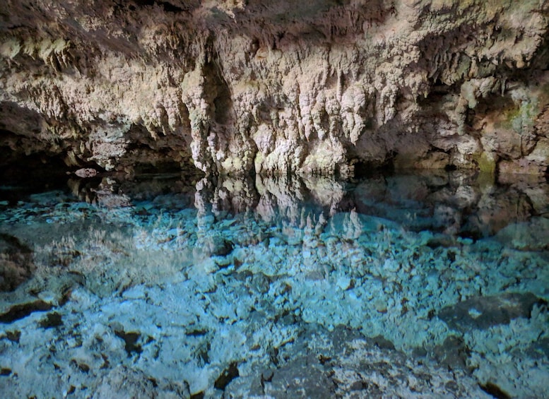 Picture 5 for Activity Zanzibar: Rock Restaurant and Cave Tour Visit