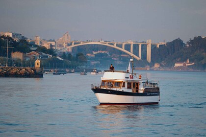 Porto: 6 Bridges Port Wine River Cruise with 4 Tastings