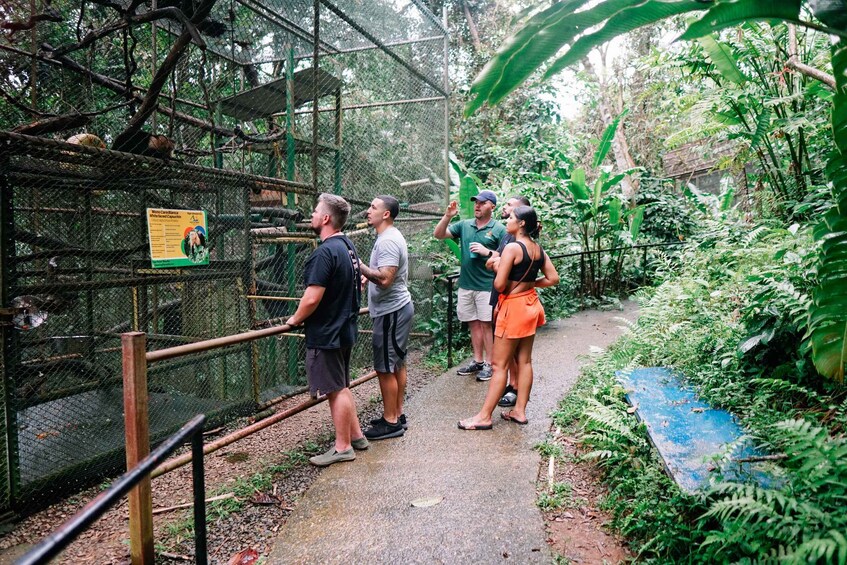 Picture 2 for Activity Manuel Antonio: Volunteer for a Day at a Wildlife Sanctuary